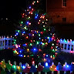 Meet your Posher, Angelica